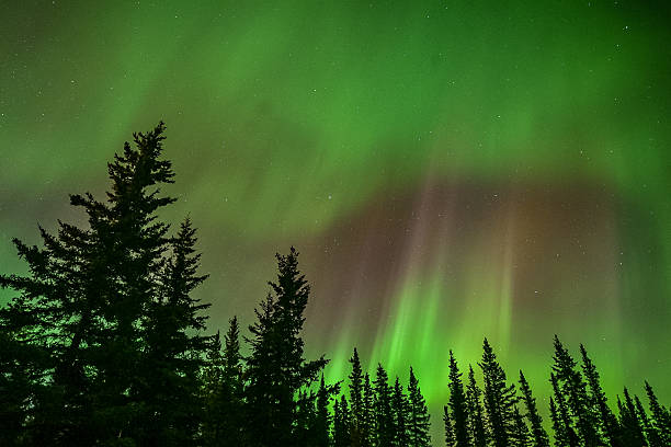 istock Northern lights  Aurora borealis in Alaska 2234082513