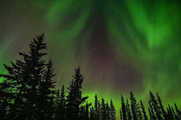 istock Northern lights  Aurora borealis in Alaska 2234082517