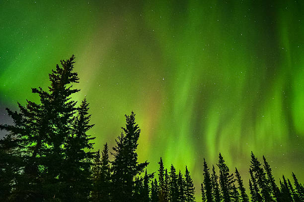 istock Northern lights  Aurora borealis in Alaska 2234082519