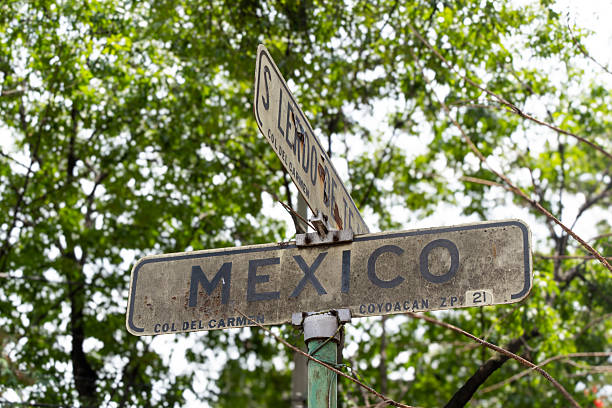 istock Directional signal with the word Mexico, background trees 2234084301