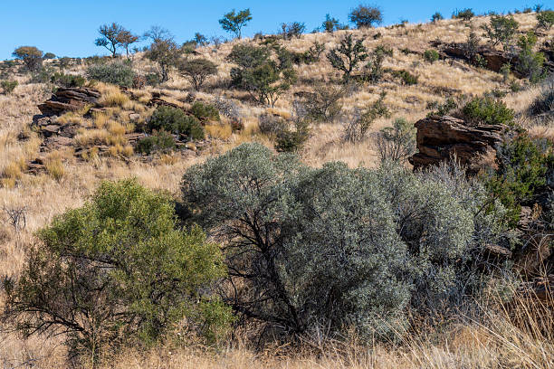 istock Arid and rocky landscape of central Namibia 2234086598