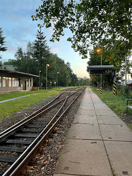 istock Empty railway tracks leading into a peaceful green landscape at dawn 2234087408