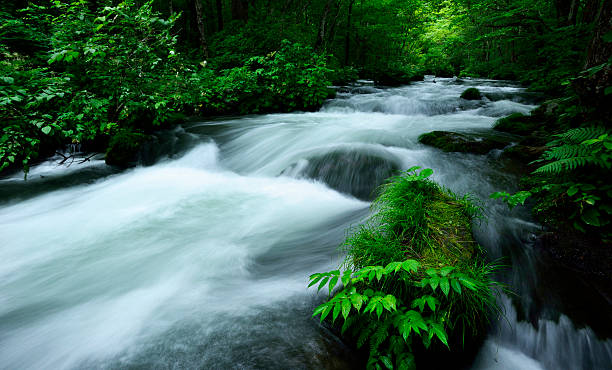 istock A Beautiful Japan pictures 2234089518