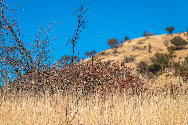 Arid and rocky landscape of central Namibia. Namibia is a country on the west coast of Southern Africa. Its borders include the Atlantic Ocean to the west, Angola and Zambia to the north, Botswana to the east and South Africa to the south.
