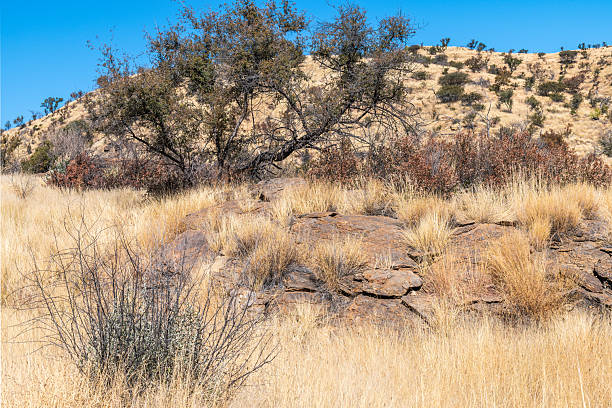 istock Arid and rocky landscape of central Namibia 2234089729