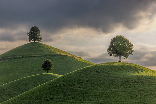 istock the drumlins - moraine hills with linden trees on the top 2234093214