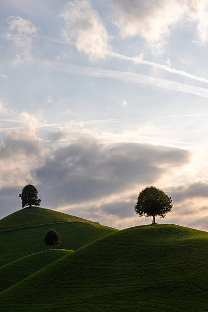 istock the drumlins - moraine hills with linden trees on the top 2234093225