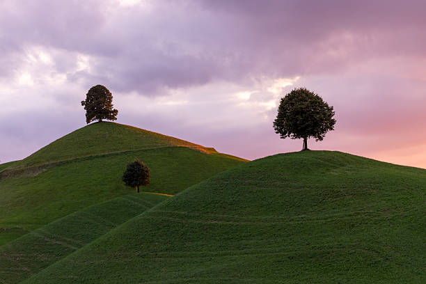 istock the drumlins - moraine hills with linden trees on the top 2234093232