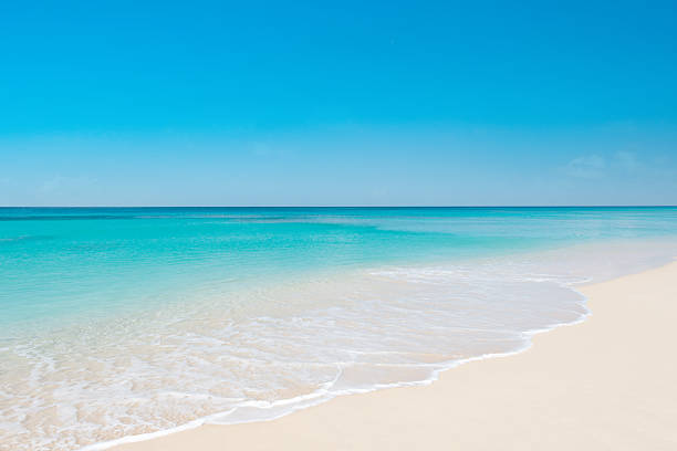 istock Calm Tropical Beach with Clear Sky 2234093565