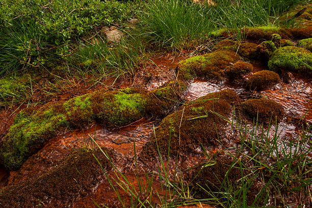 Natural mineral water place in Khazbegi, Georgia
