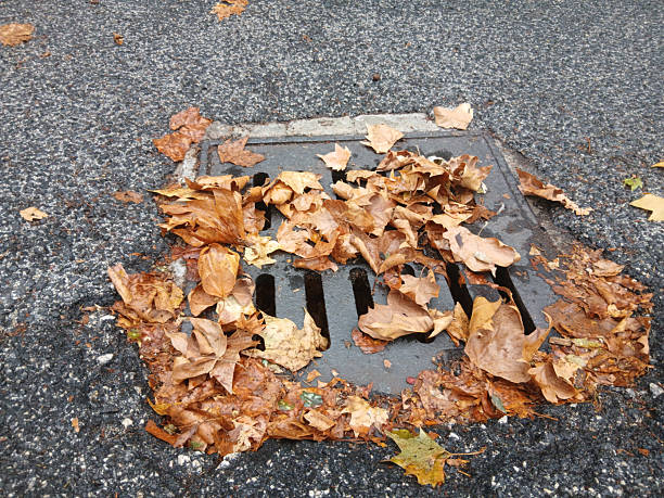 istock Fallen autumn leaves clogging a storm drain on asphalt road 2234095999