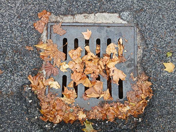istock Fallen autumn leaves clogging a storm drain on asphalt road 2234096696