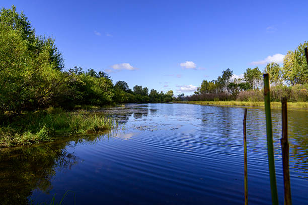 Summer scenery at Bombay Hook National Wildlife Refuge, Smyrma, Delaware, USA