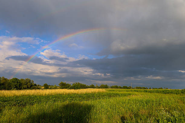 ​A beautiful summer scene with a rainbow arching brightly over green fields that stretch to the horizon. This natural bridge connects the cloudy and clear parts of the sky, creating an incredible contrast.