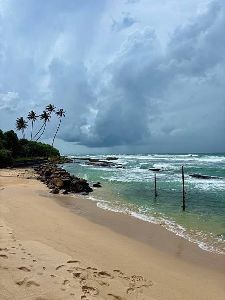 istock Standing Fisherman Sri Lanka 2234103081