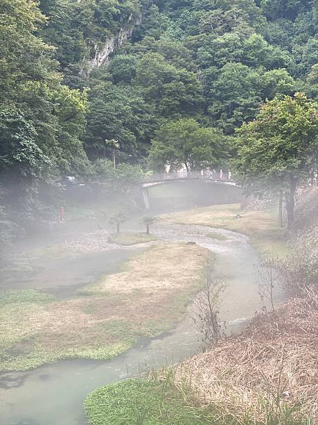 istock Foggy landscape with lush green forest, river, and a distant bridge creating a serene background 2234107922