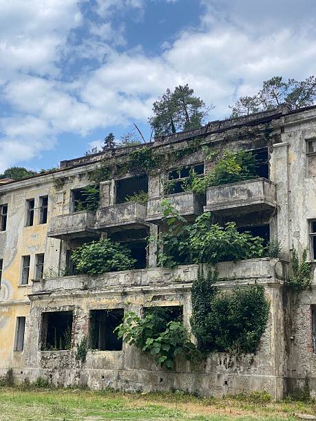 istock Abandoned building facade with overgrown plants on windows and walls under blue sky 2234107927