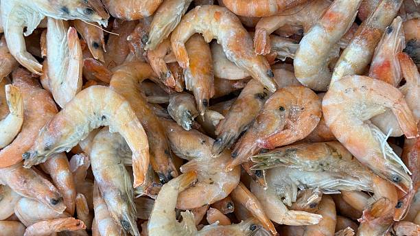 istock Fresh shrimp piled closely together, showing texture and color for culinary background 2234107987