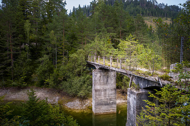 istock Forgotten Bridge, Reclaimed by Nature 2234115378