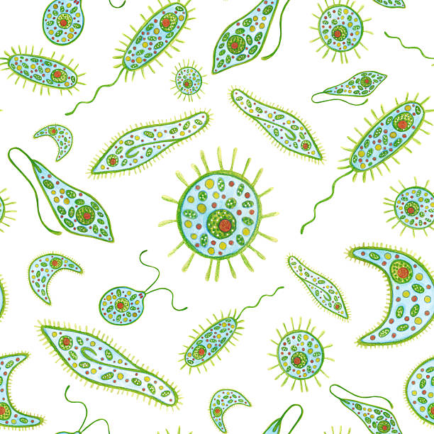 istock Seamless pattern with unicellular organisms, photoplankton, zooplankton. Watercolor illustration, hand drawn, cartoon. For stickers, biology and ecology textbooks. Sea, organism, ocean, plankton, swim 2234115461