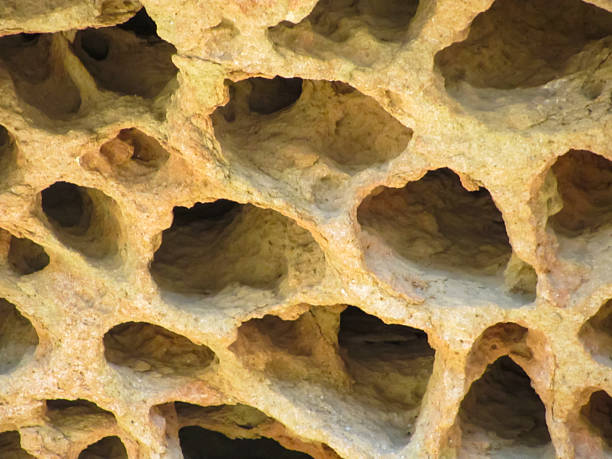 A detailed view of sandstone rock eroded into honeycomb-like cavities, showcasing unique natural textures.