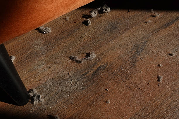 Close-up image of dust accumulation under a piece of furniture on a wooden floor, featuring visible clumps of dust bunnies and debris. The leg of an upholstered chair or sofa is partially visible, with warm lighting casting shadows across the scene. This realistic domestic setting illustrates a common household issue — buildup of dirt in hard-to-reach areas — and is ideal for use in cleaning product promotions, home maintenance articles, lifestyle blogs, or editorial content focused on hygiene, chores, and everyday mess.