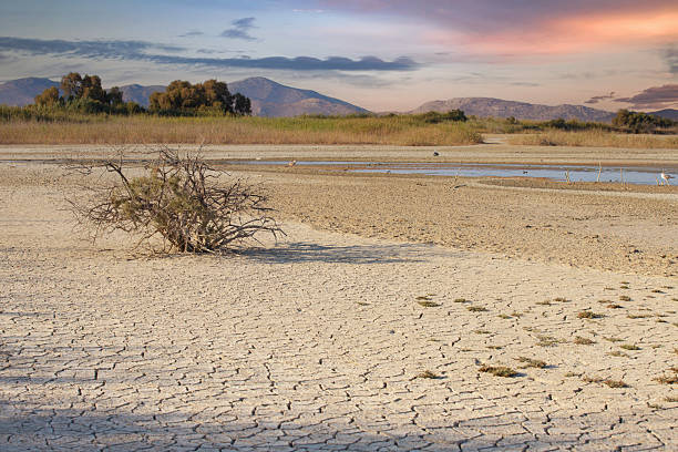 istock Landscape with dry, cracked earth and sparse vegetation under the setting sun 2234116312