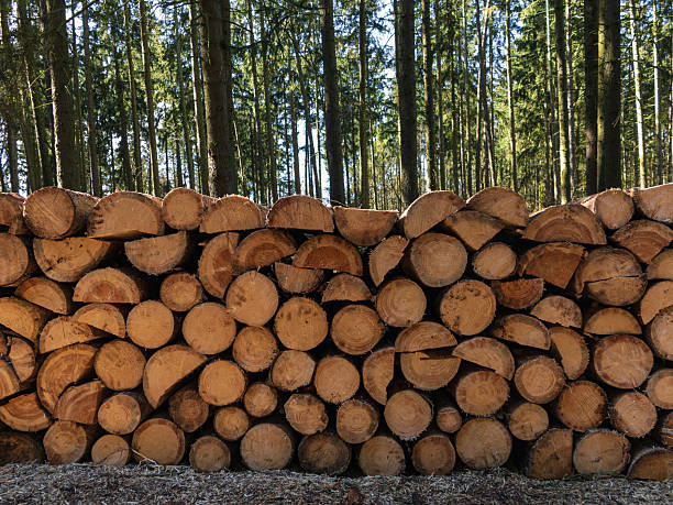 istock Freshly Cut Wood Stacked on a Pile. 2234117376
