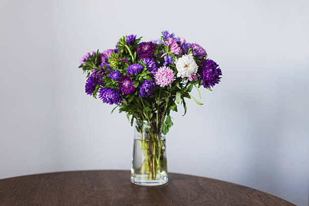 Asters in vase on white background