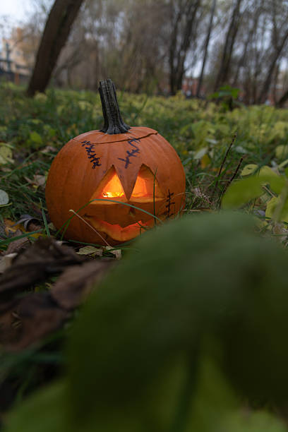 istock Brightly lit jack-o'-lantern among fallen leaves in an autumn forest 2234121763