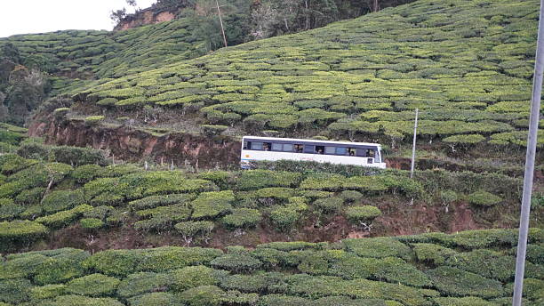 istock Munnar Tea Gardens in Kerala During Monsoon 2234126411