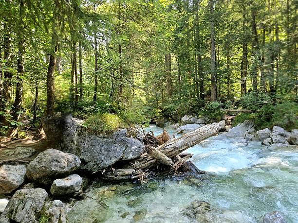 istock Zauberwald in Berchtesgarden - Bavaria - wild river 2234126694