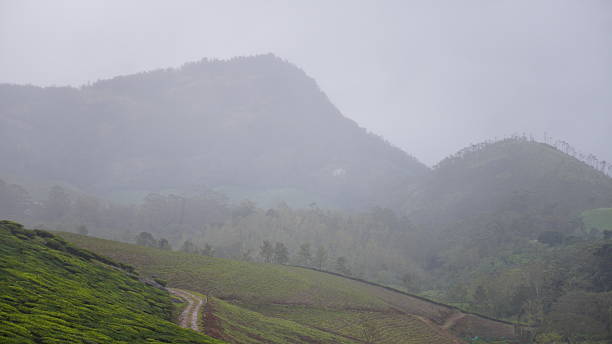 istock Munnar Tea Gardens in Kerala During Monsoon 2234126851