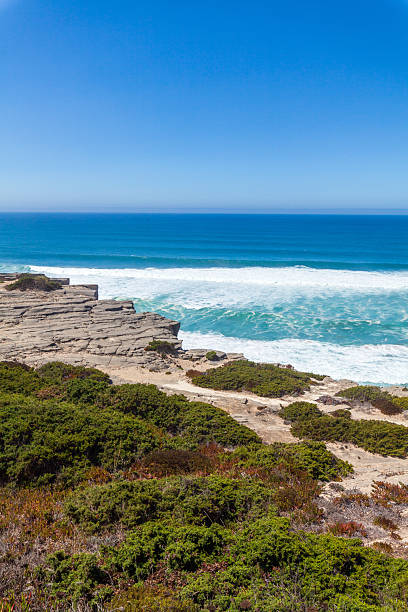 istock A breathtaking coastal view showcasing turquoise ocean waves crashing against rocky cliffs, surrounded by lush green shrubs and sandy terrain under a clear blue sky 2234128590