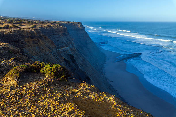 A breathtaking coastal panorama with golden cliffs overlooking a sandy beach and turquoise waves under a clear blue sky, framed by rugged terrain and sparse vegetation on Praia da Vigia