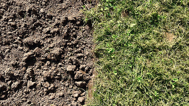 istock Plowed soil meets green grass: contrasting textures in nature 2234128940