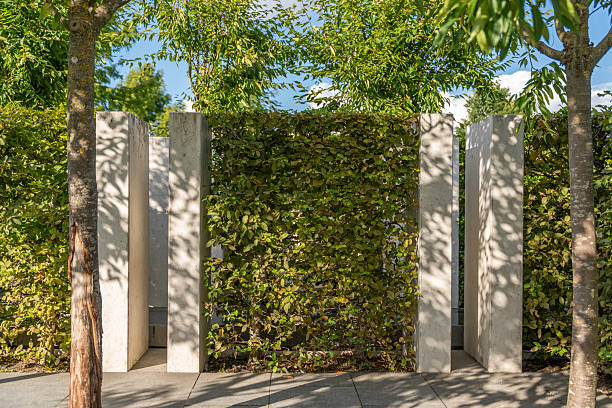 istock Concrete walls and lush hedges form a green outdoor structure. 2234130036