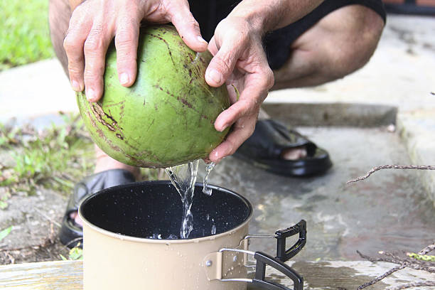 A man opens a fresh coconut without tools, revealing the hydrating drink inside, a true taste of the tropics