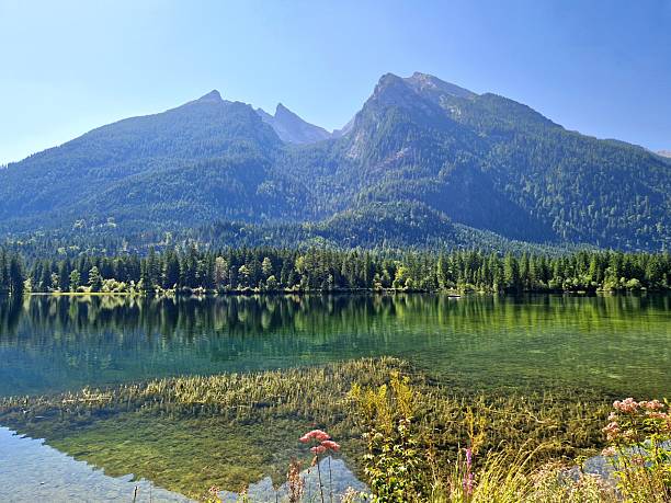 Spiegelung am Hintersee in den Bayerischen Alpen