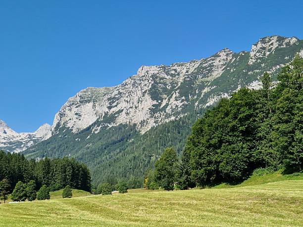 istock in mountains Alps South of Germany 2234134098