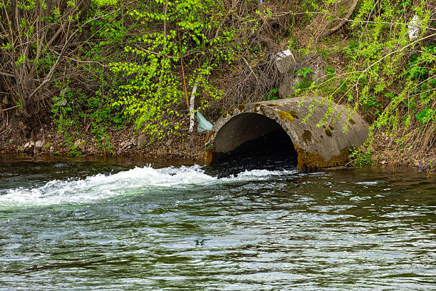 istock Drain pipe releasing water into a river surrounded by greenery in a natural setting 2234134916