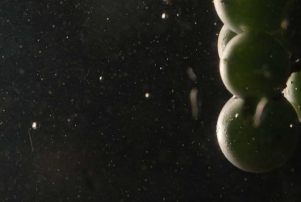 istock Motion fruit in water, photography with creative lighting 2234137338