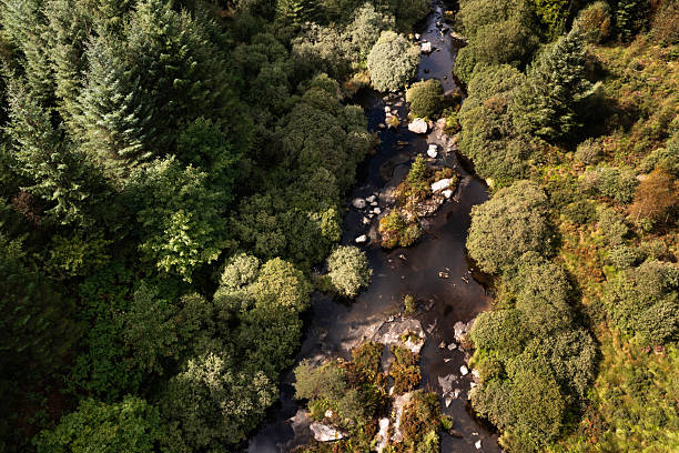 Aerial view of a small river in a forest in rural Scotland on an autumn day