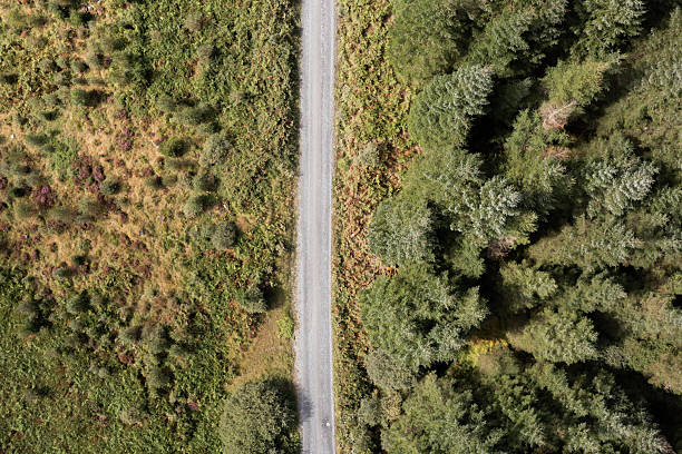 istock View from a drone directly above a dirt road 2234141743