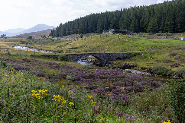 The Scottish Highlands are very sparsely populated, dominated by mountain ranges. The region has a much warmer climate because of the Gulf Stream.