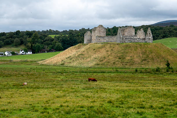 Aerial view of a castle, Roscommon, Ireland.
