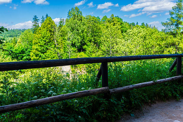 Shaded walking path with rustic wooden railing leading through lush summer forest near Czorsztyn Castle. A tranquil natural setting ideal for outdoor tourism, hiking, eco-friendly travel, and scenic landscape design.