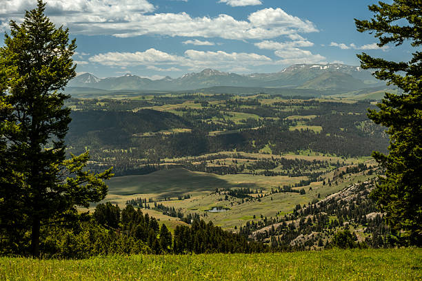 istock Electric Peak Seen Across The Yellowstone Valley From A Rolling Hillside 2234150821
