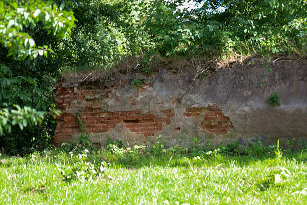 istock The image shows an old wall with peeling plaster, exposing the red brickwork underneath. The wall is partially overgrown with moss and wild plants, while tree branches cover it from above. 2234152991