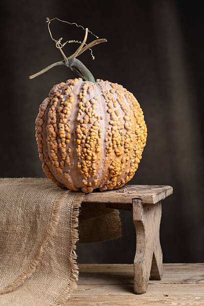istock Warty Orange Pumpkin Musquee De Maroc Winter Squash 2234153967